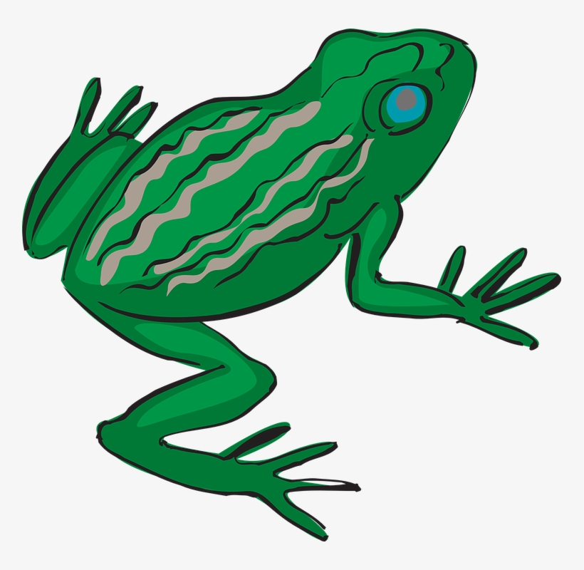 Green Frog Clipart Bull Frog - Frogs Legs Clipart, transparent png