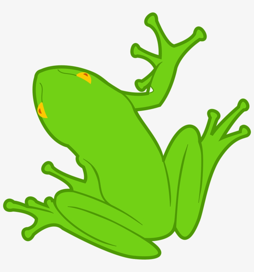 Custom Green Frog Shower Curtain, transparent png