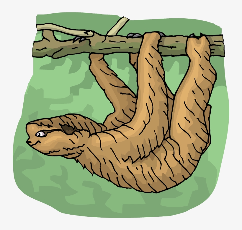Sloth Tree Frog Clipart Hostted - Clip Art, transparent png