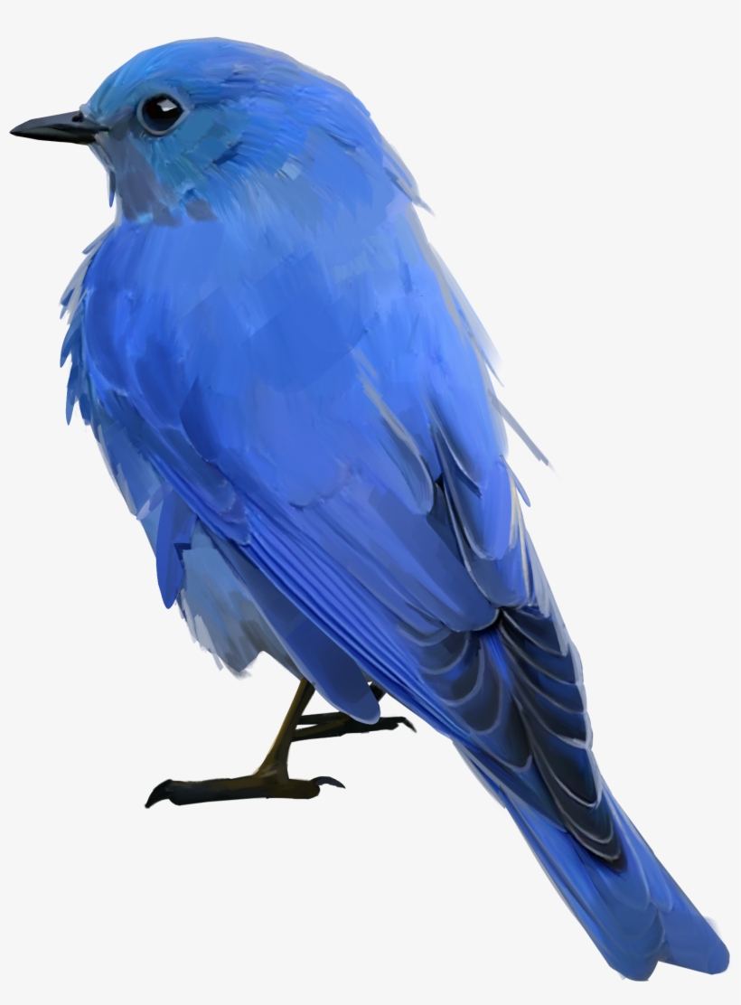 Bluebird - Mountain Bluebird - 4000x4000 PNG Download - PNGkit