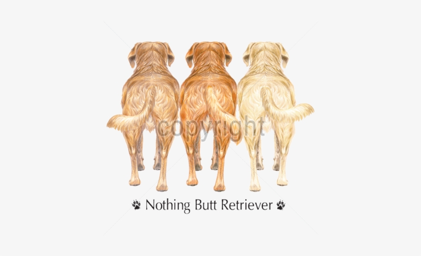 Https - //www - Retailer - Thewildside - Com/heat Transfers/cats - Dog, transparent png