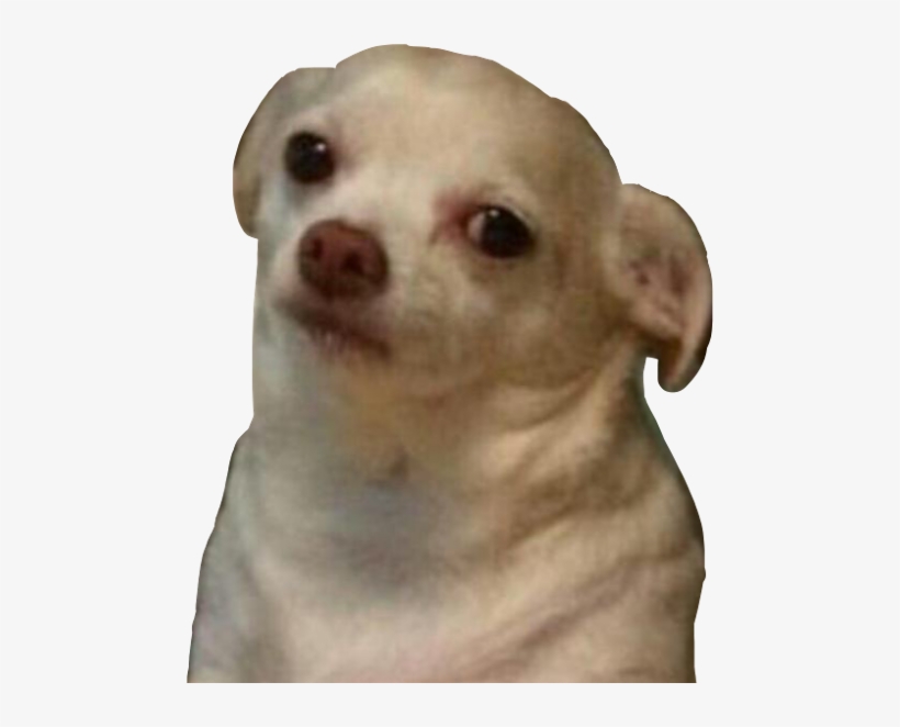 Vas A Salir Y Te Cancelan, transparent png