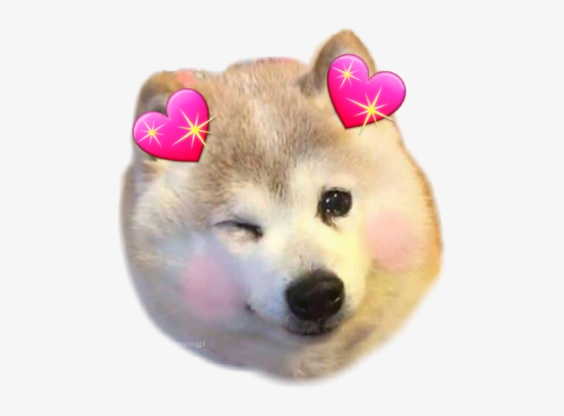 Dog Wonk, transparent png