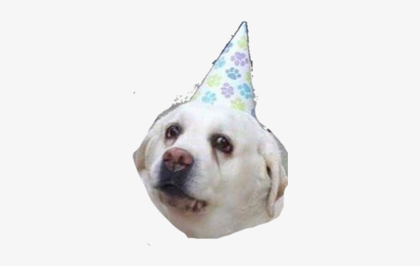 Doggo2 Discord Emoji - Happy Borkday, transparent png