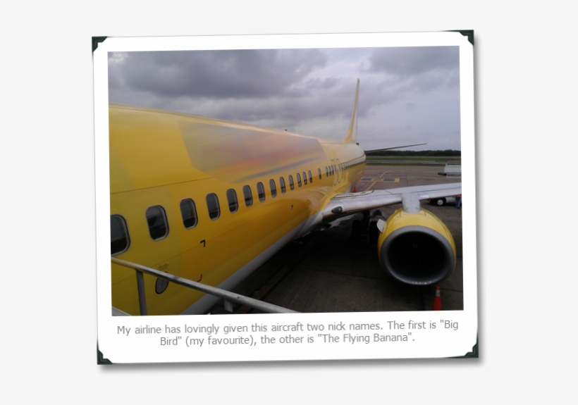 Liked It Share It - Boeing 737 Next Generation, transparent png