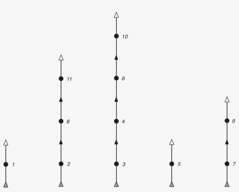 A Particular Diagram Associated With - Diagram, transparent png