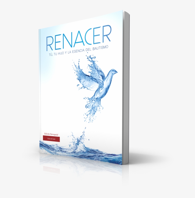 Leader Guide - Designart Pt6753-30-40 Dove From Water Splashes Animal, transparent png