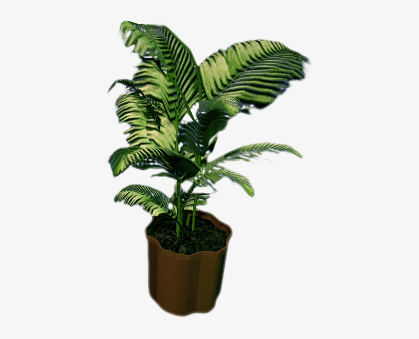 Image Rising Small Fern - Küçük Ağaç Png, transparent png
