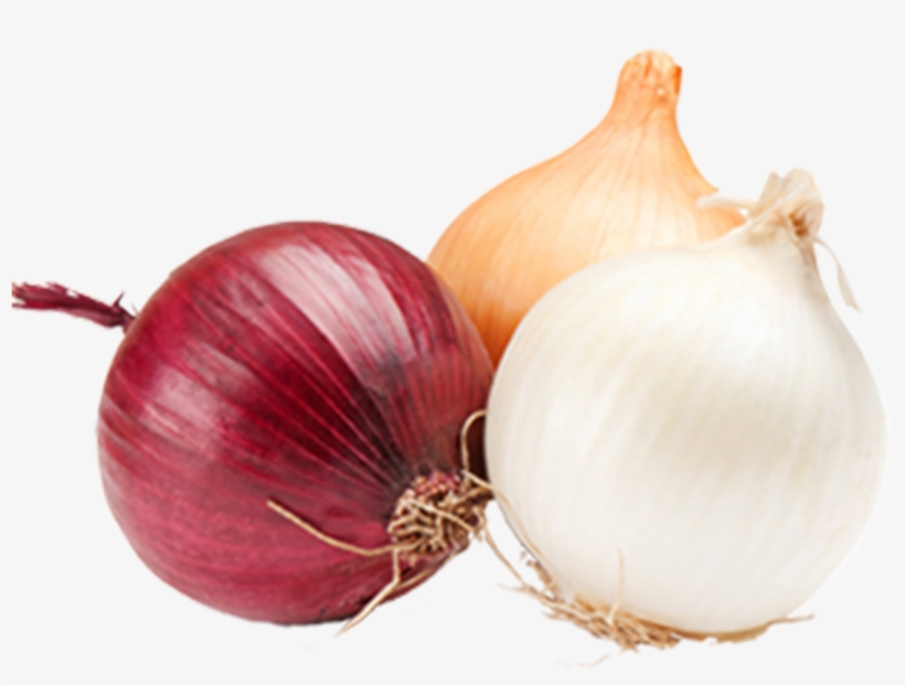 Onions Onions Png - Onions And Garlic Png, transparent png