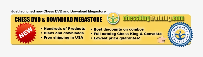 From Alexandra Kosteniuk's Www - Orange, transparent png