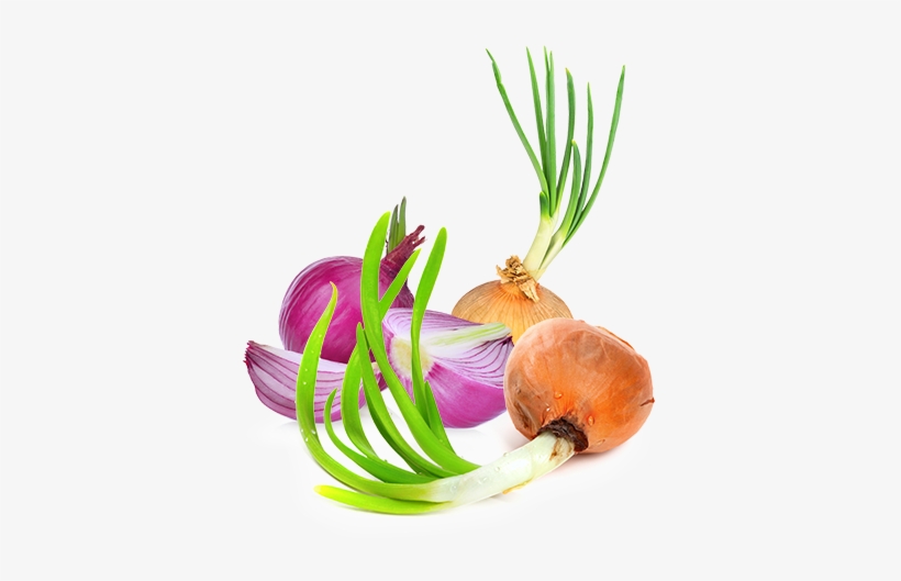 Healthier Crop - Onion, transparent png