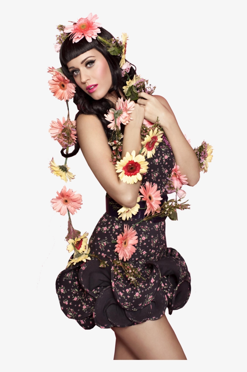 Katy Perry Png Transparent Picture - Katy Perry Transparent Png, transparent png