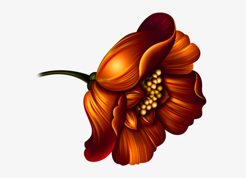 Image Du Blog Leonamoroco - Illustration, transparent png