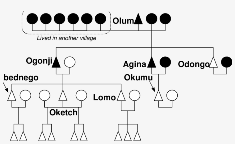2 The Descendants Of Olum - Diagram, transparent png