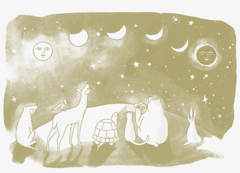Constellations Postcard - Illustration, transparent png