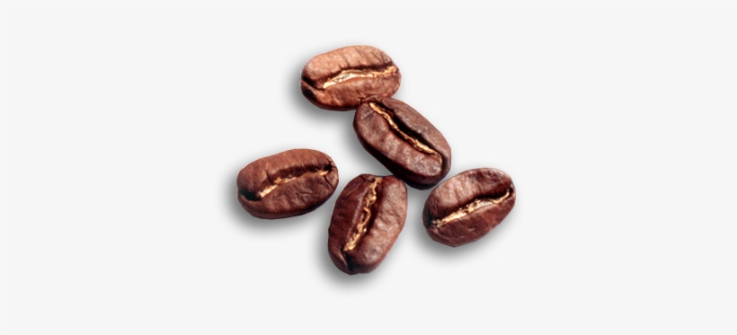 A Highlight Of The Festival Last Year, The Lab Sessions - Caffeine, transparent png