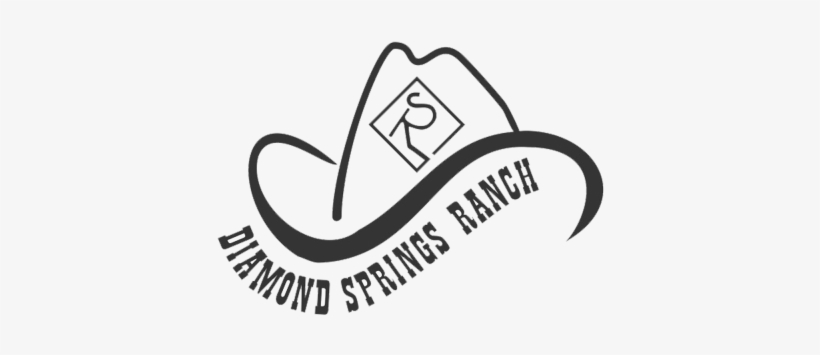 Diamond Spring Cattle - Line Art, transparent png