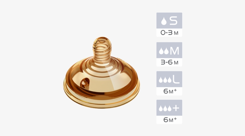 “belly Belly” Baby Bottle Nipple - Baby Bottle, transparent png
