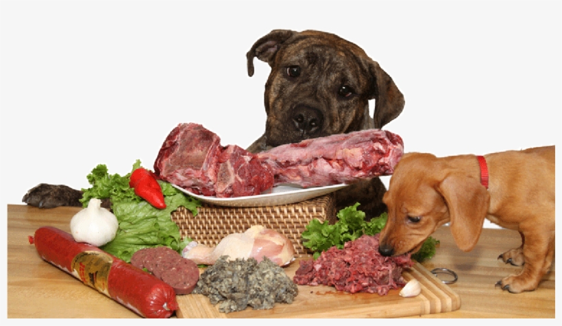 Dog And Raw Food, transparent png