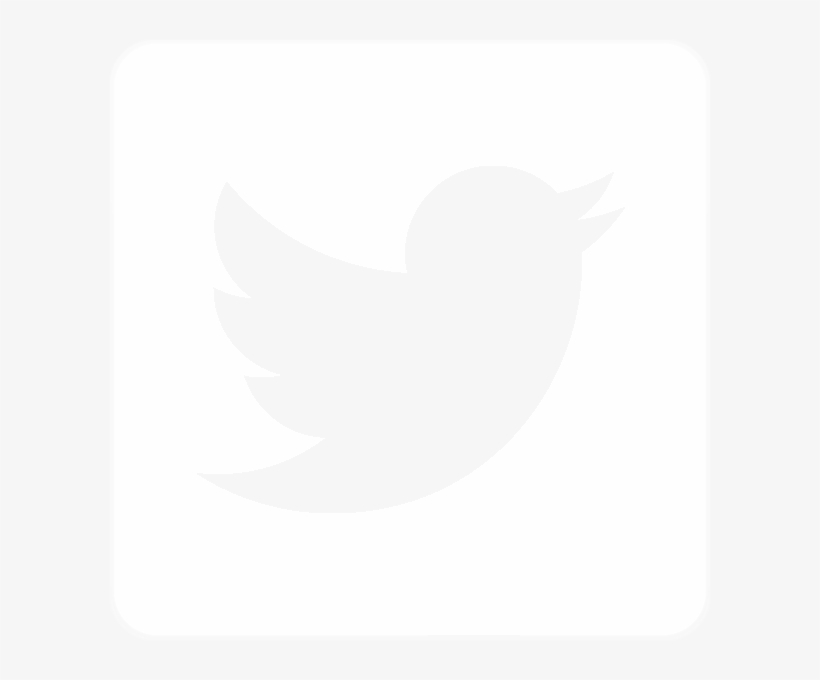Like Us On Facebook Follow Us On Twitter Google - Twitter Social Icon White, transparent png