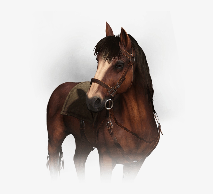 Roach - Witcher 3 Roach Png, transparent png