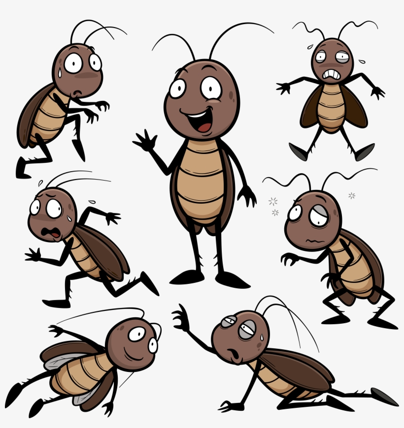 Butter Clipart Roach - Cartoon Images Of Cockroaches, transparent png