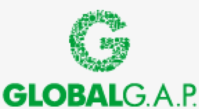 Global G - A - P - Consulting And Certification Services - Global Gap Logo Png, transparent png