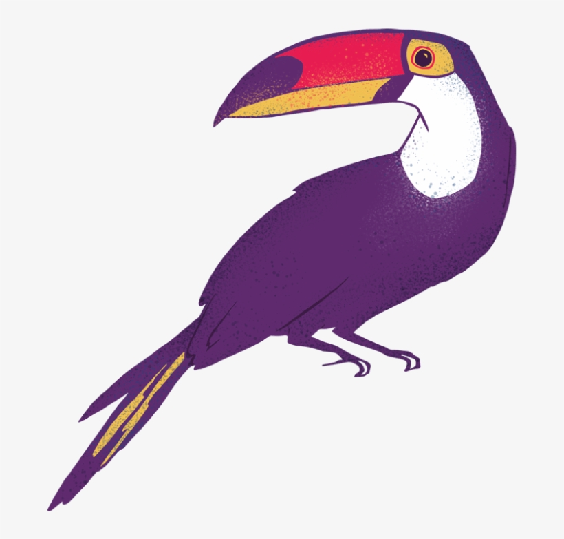 Clipart About Amaz Nia Font Amaznia Illustrations - Toucan, transparent png