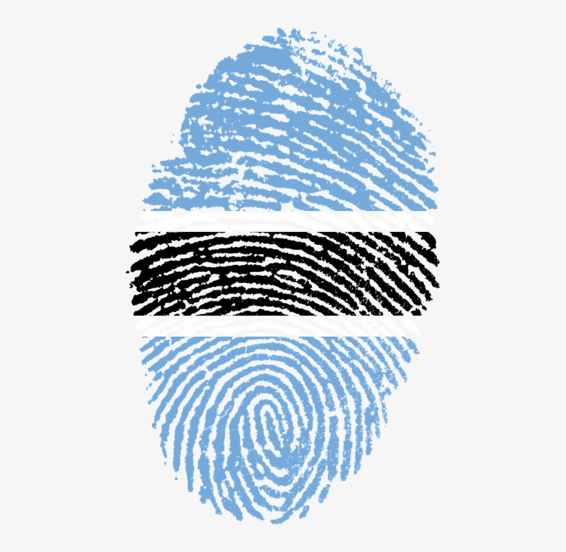 Qualities To Look For In Immigration Lawyers - Botswana Flag, transparent png