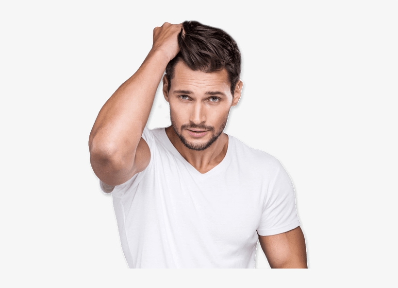 Photo - Melaleuca Alternifolia Growth Hair, transparent png