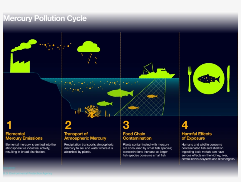 Svg Royalty Free Download Chemical Health Index Ecological - Mercury Pollution Cycle, transparent png