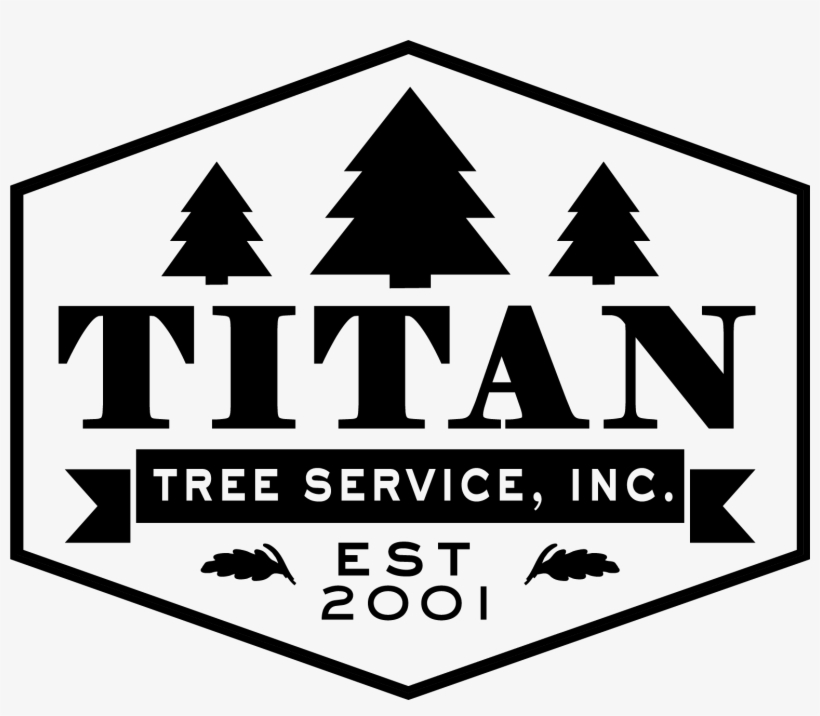 Leave A Reply Cancel, transparent png