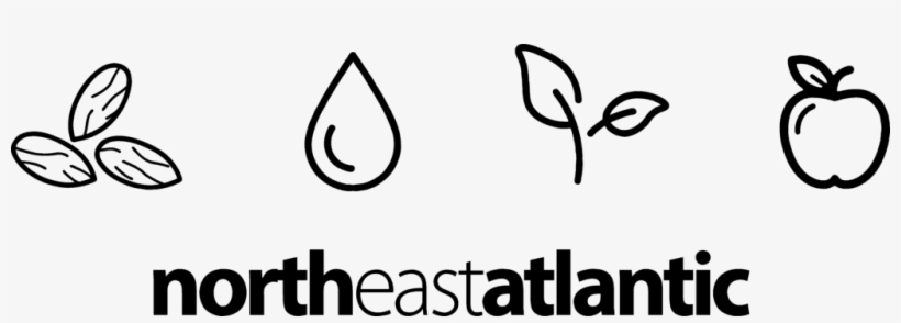 Welcome To Nea Church Planting Below, Please Find Information - Northeast Atlantic District, transparent png