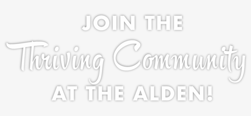 The Alden Is A Social Student Community Conveniently - Calligraphy, transparent png