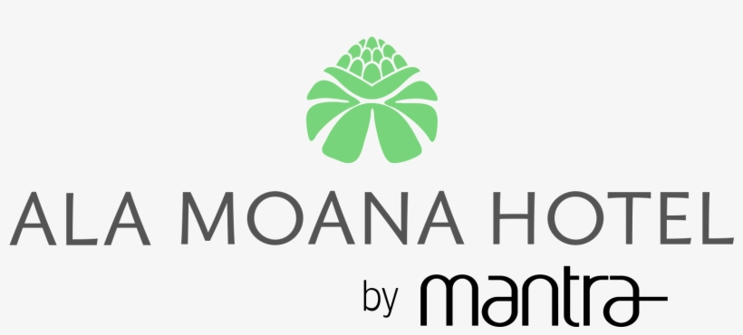 Director Of Human Resources - Mantra Hotel, transparent png