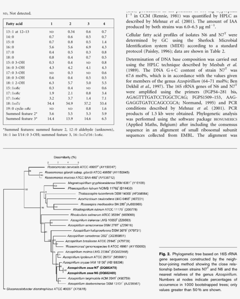Cellular Fatty Acid Composition Of Corn Rhizosphere - Animais Peçonhentos, transparent png