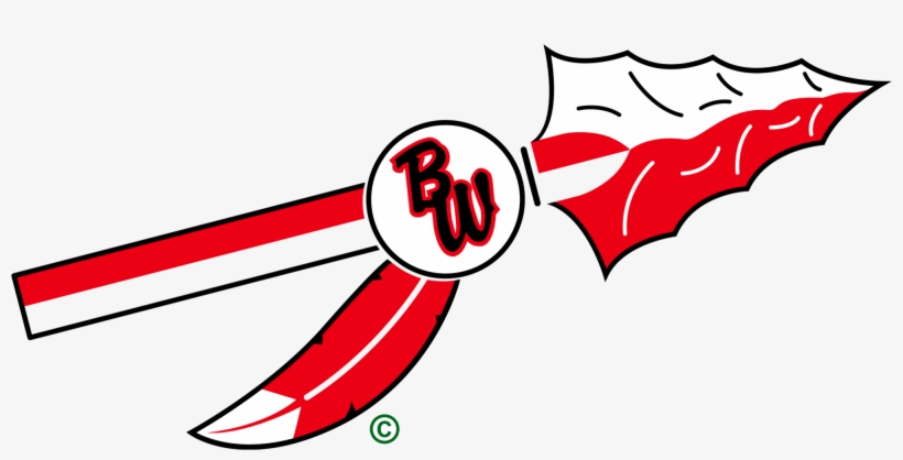 Baldwin Woodville Blackhawks, transparent png