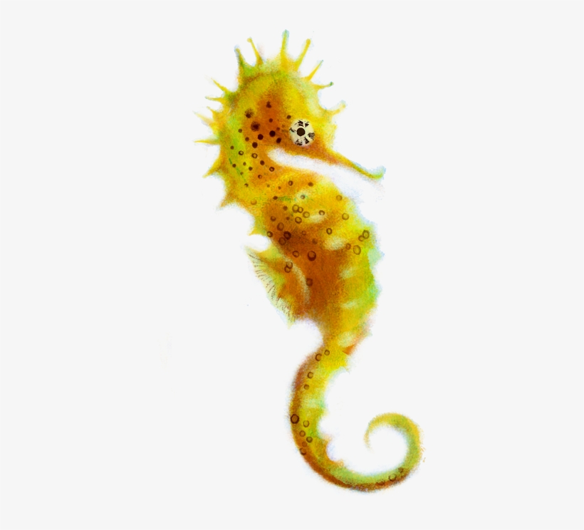 Free Icons Png - Northern Seahorse, transparent png