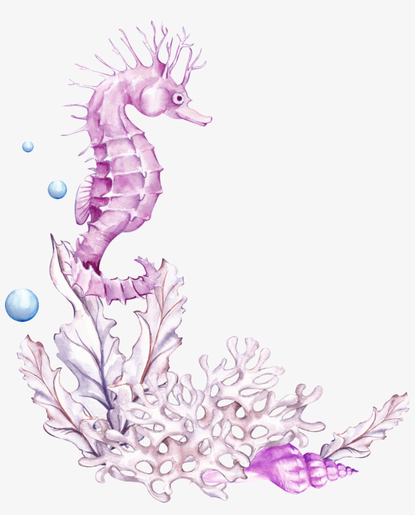 Pink Seahorse Cartoon Transparent - Transparent Background Seahorse, transparent png