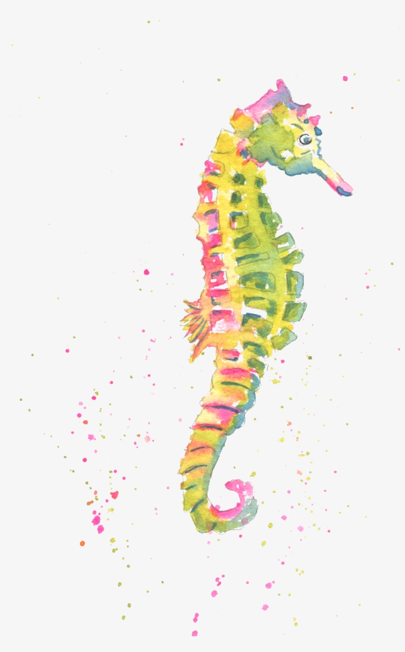 Home>note Cards>summer Theme Note Cards - Northern Seahorse, transparent png