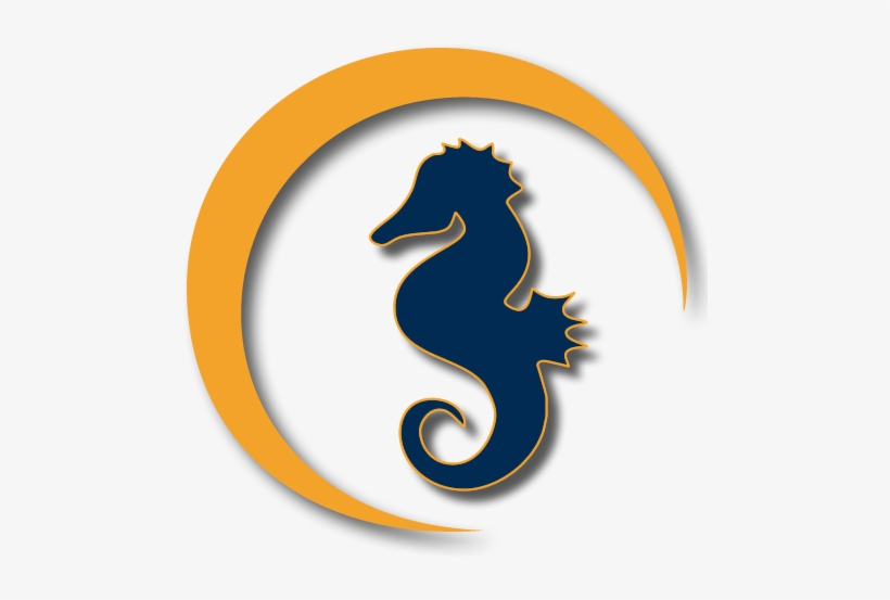Logo-seahorse - Seahorse, transparent png