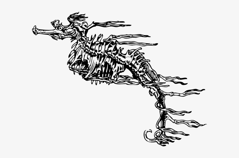 Seahorse Skeleton Svg Clip Arts 600 X 461 Px, transparent png