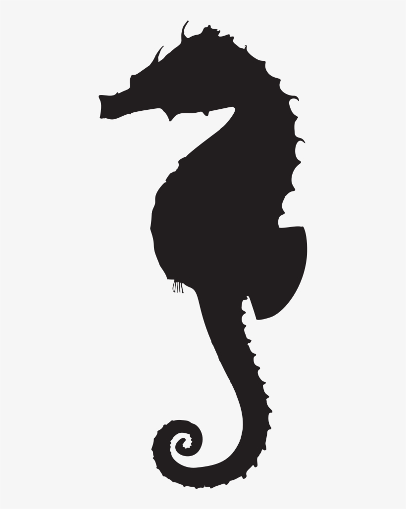 Medium Image - Black And White Seahorse Images Clipart, transparent png