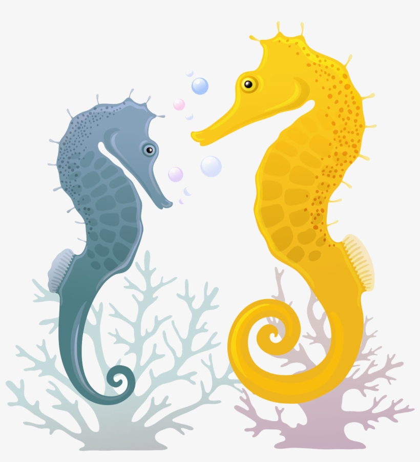 Seahorse Illustration, transparent png