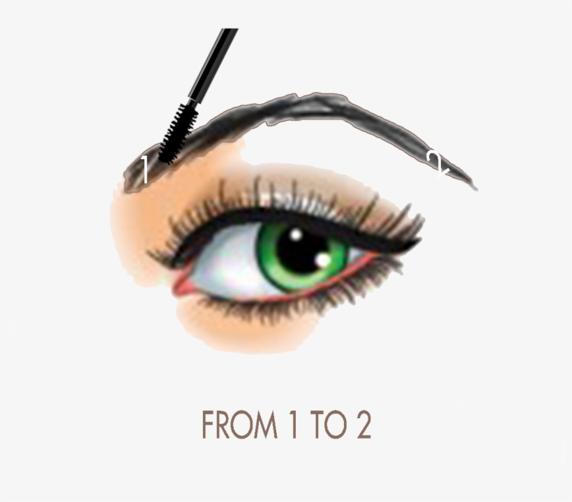 19 Eyelash Clip Transparent Library Eyebrow Threading - Cosmetics, transparent png