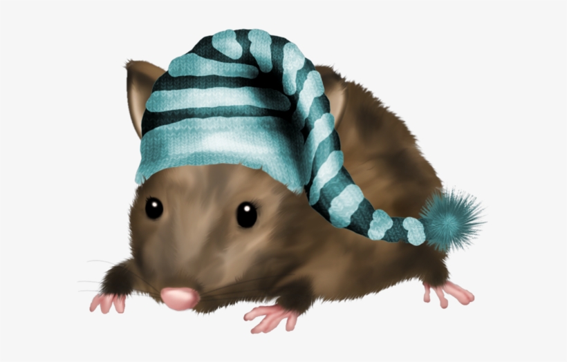 Mouse, Tubes, Png - Bonne Nuit Rat, transparent png