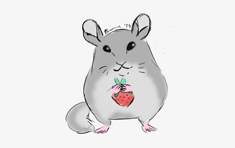 Chinchilla Doodle By Beastbay On Deviantart Vector - Chinchilla Doodle, transparent png