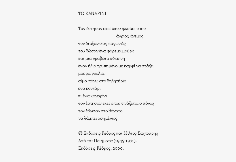 Poetry, transparent png