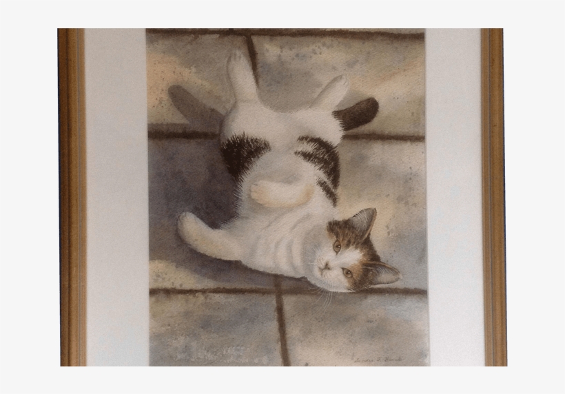 Sandra K Brunk, Black And White Tabby Cat On His Back, - Watercolor Painting, transparent png