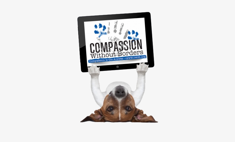 We Are In Urgent Need Of Three To Four Ipads To Educate - Dog Lifting Weights Png, transparent png
